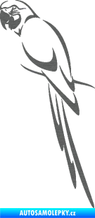 Samolepka Papoušek 005 levá škrábaný titan