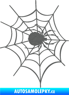 Samolepka Pavouk 016 pravá s pavučinou škrábaný titan