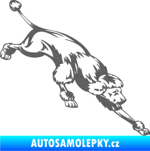 Samolepka Pes 022 pravá Pudl škrábaný titan