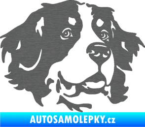 Samolepka Pes 131 pravá bernský salašnický pes škrábaný titan
