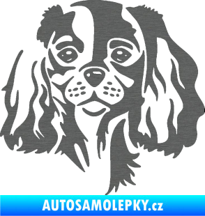 Samolepka Pes 132 pravá Cavalier king Charles spaniel škrábaný titan