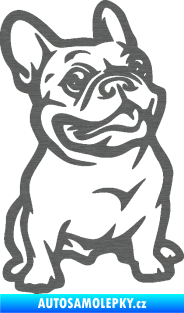 Samolepka Pes 139 pravá francouzský buldoček škrábaný titan