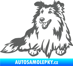Samolepka Pes 162 levá sheltie škrábaný titan