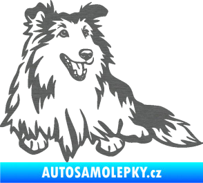 Samolepka Pes 162 pravá sheltie škrábaný titan