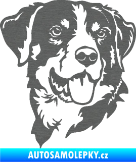 Samolepka Pes 197 pravá Appenzellský salašnický pes škrábaný titan