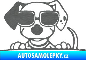 Samolepka Pes s brýlemi 101 levá v autě škrábaný titan