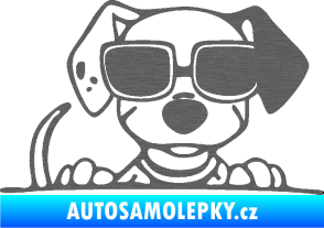 Samolepka Pes s brýlemi 101 pravá v autě škrábaný titan