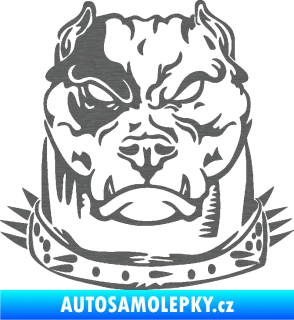 Samolepka Pitbull hlava 005 pravá škrábaný titan