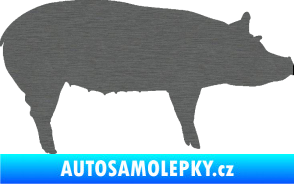 Samolepka Prase 002 pravá škrábaný titan