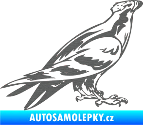 Samolepka Predators 006 pravá škrábaný titan
