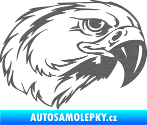 Samolepka Predators 031 pravá škrábaný titan