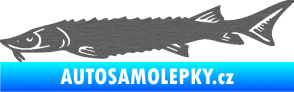 Samolepka Ryba 020 levá jeseter škrábaný titan