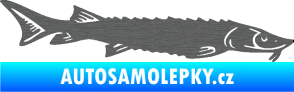 Samolepka Ryba 020 pravá jeseter škrábaný titan