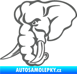 Samolepka Slon 026 levá hlava škrábaný titan