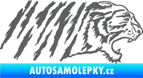 Samolepka Tygr 004 pravá škrábaný titan