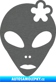 Samolepka UFO 009 slečna s kytičkou pravá škrábaný titan