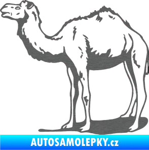 Samolepka Velbloud 001 levá škrábaný titan
