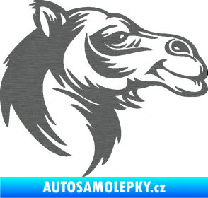 Samolepka Velbloud 004 pravá hlava škrábaný titan