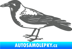 Samolepka Vrána 001 levá škrábaný titan