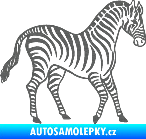 Samolepka Zebra 002 pravá škrábaný titan