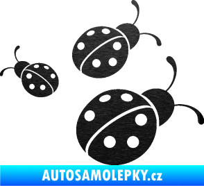 Samolepka Berušky 001 pravá škrábaný kov černý