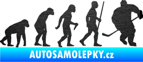 Samolepka Evoluce 003 hokej pravá škrábaný kov černý