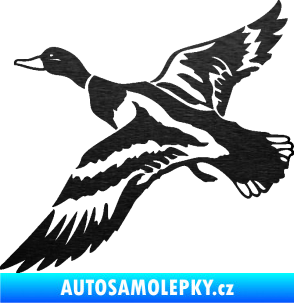 Samolepka Kachna divoká 001 levá kačer škrábaný kov černý