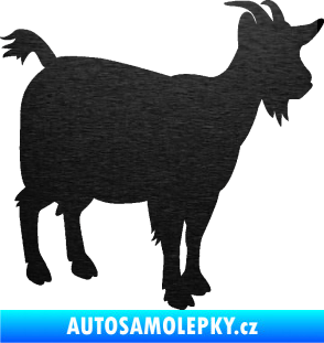 Samolepka Koza 001 pravá škrábaný kov černý