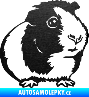 Samolepka Morče 003 pravá škrábaný kov černý