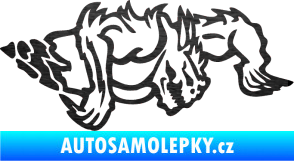Samolepka Ostnatej pravá škrábaný kov černý