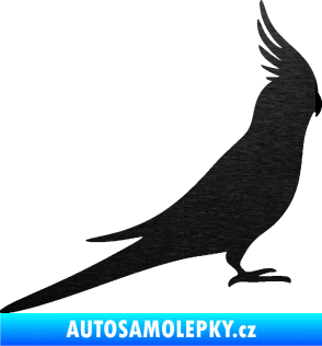 Samolepka Papoušek 002 pravá škrábaný kov černý