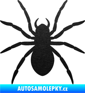 Samolepka Pavouk 015 škrábaný kov černý