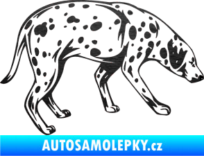 Samolepka Pes 001 pravá Dalmatin škrábaný kov černý