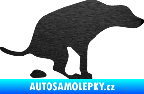 Samolepka Pes 077 pravá škrábaný kov černý