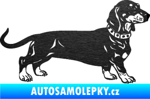 Samolepka Pes 122 pravá jezevčík škrábaný kov černý