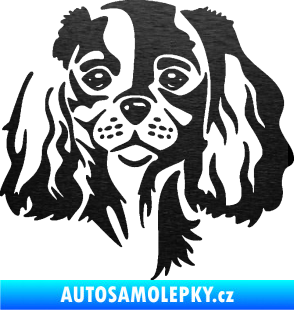 Samolepka Pes 132 pravá Cavalier king Charles spaniel škrábaný kov černý