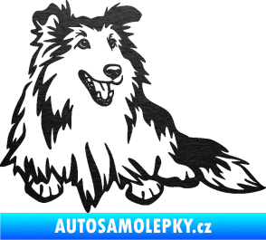 Samolepka Pes 162 pravá sheltie škrábaný kov černý