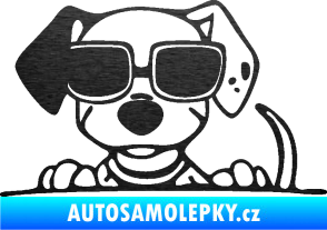Samolepka Pes s brýlemi 101 levá v autě škrábaný kov černý