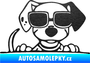 Samolepka Pes s brýlemi 101 pravá v autě škrábaný kov černý