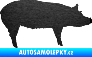 Samolepka Prase 002 pravá škrábaný kov černý