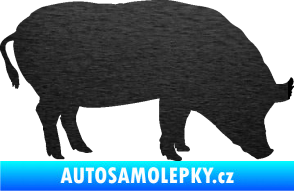 Samolepka Prase 004 pravá škrábaný kov černý