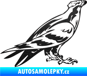 Samolepka Predators 006 pravá škrábaný kov černý