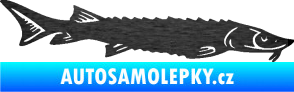 Samolepka Ryba 020 pravá jeseter škrábaný kov černý