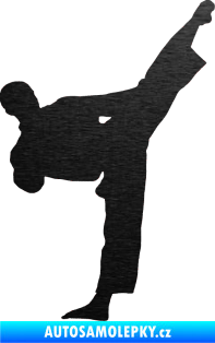 Samolepka Taekwondo 002 pravá škrábaný kov černý