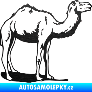 Samolepka Velbloud 001 pravá škrábaný kov černý