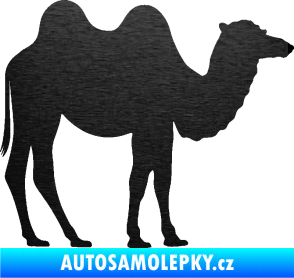 Samolepka Velbloud 003 pravá škrábaný kov černý