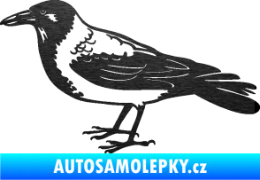 Samolepka Vrána 001 levá škrábaný kov černý