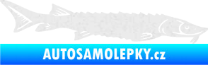 Samolepka Ryba 020 pravá jeseter Ultra Metalic bílá
