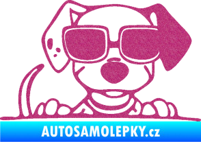 Samolepka Pes s brýlemi 101 pravá v autě Ultra Metalic růžová