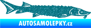 Samolepka Ryba 020 pravá jeseter Ultra Metalic tyrkysová